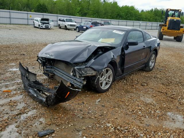 Photo 1 VIN: 1ZVBP8AM1D5282286 - FORD MUSTANG 