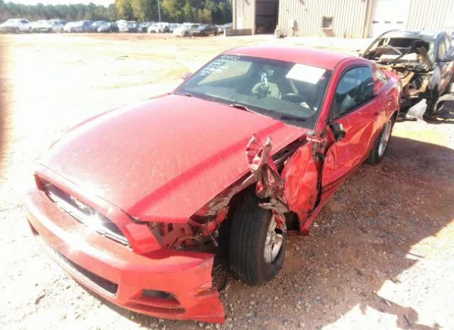 Photo 1 VIN: 1ZVBP8AM1E5201224 - FORD MUSTANG 