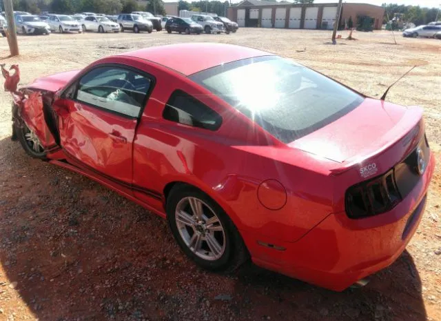 Photo 2 VIN: 1ZVBP8AM1E5201224 - FORD MUSTANG 