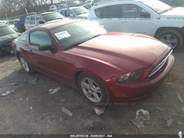 Photo 0 VIN: 1ZVBP8AM1E5216953 - FORD MUSTANG 