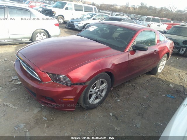 Photo 1 VIN: 1ZVBP8AM1E5216953 - FORD MUSTANG 