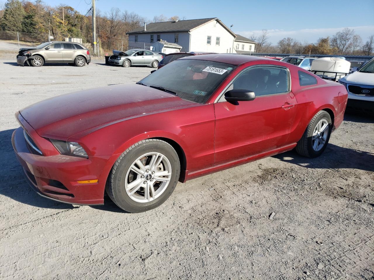 Photo 1 VIN: 1ZVBP8AM1E5219013 - FORD MUSTANG 