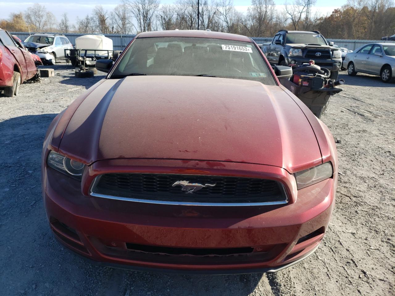 Photo 5 VIN: 1ZVBP8AM1E5219013 - FORD MUSTANG 