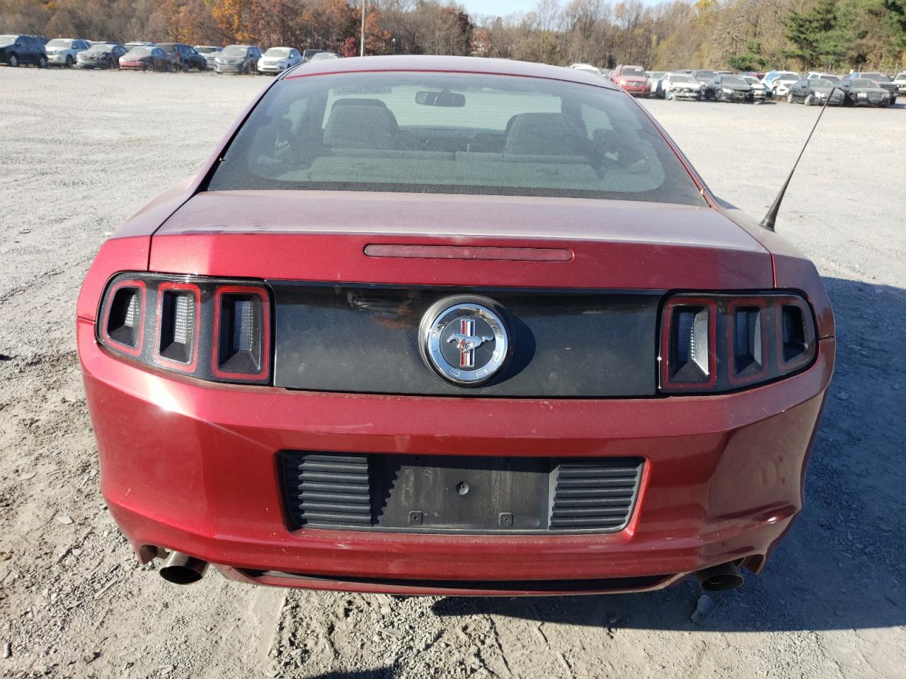 Photo 6 VIN: 1ZVBP8AM1E5219013 - FORD MUSTANG 