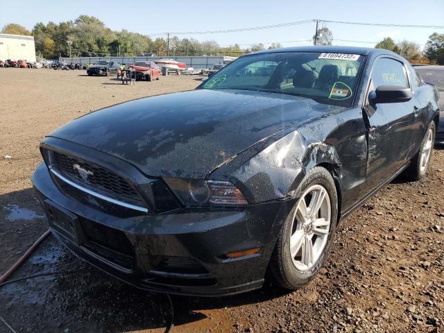 Photo 1 VIN: 1ZVBP8AM1E5225622 - FORD MUSTANG 