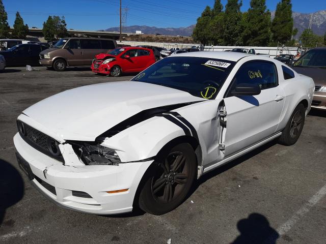 Photo 1 VIN: 1ZVBP8AM1E5231520 - FORD MUSTANG 