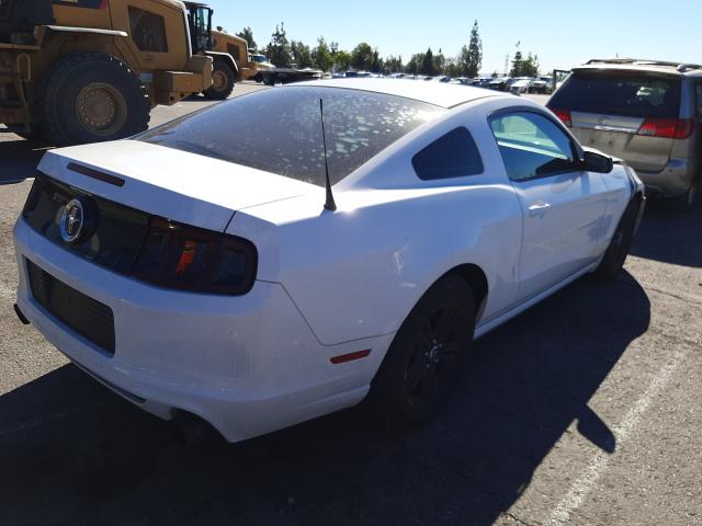 Photo 3 VIN: 1ZVBP8AM1E5231520 - FORD MUSTANG 