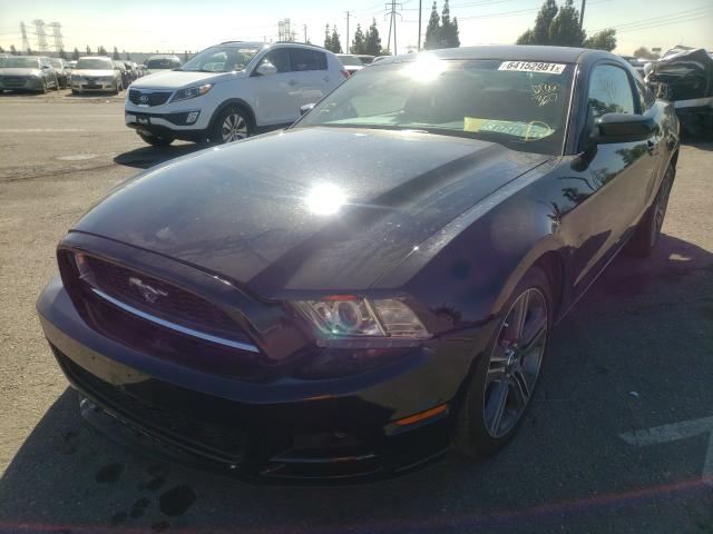 Photo 1 VIN: 1ZVBP8AM1E5231548 - FORD MUSTANG 