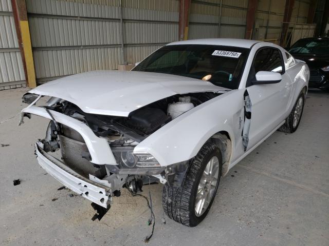 Photo 1 VIN: 1ZVBP8AM1E5233137 - FORD MUSTANG 