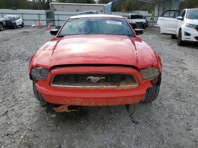 Photo 4 VIN: 1ZVBP8AM1E5246423 - FORD MUSTANG 