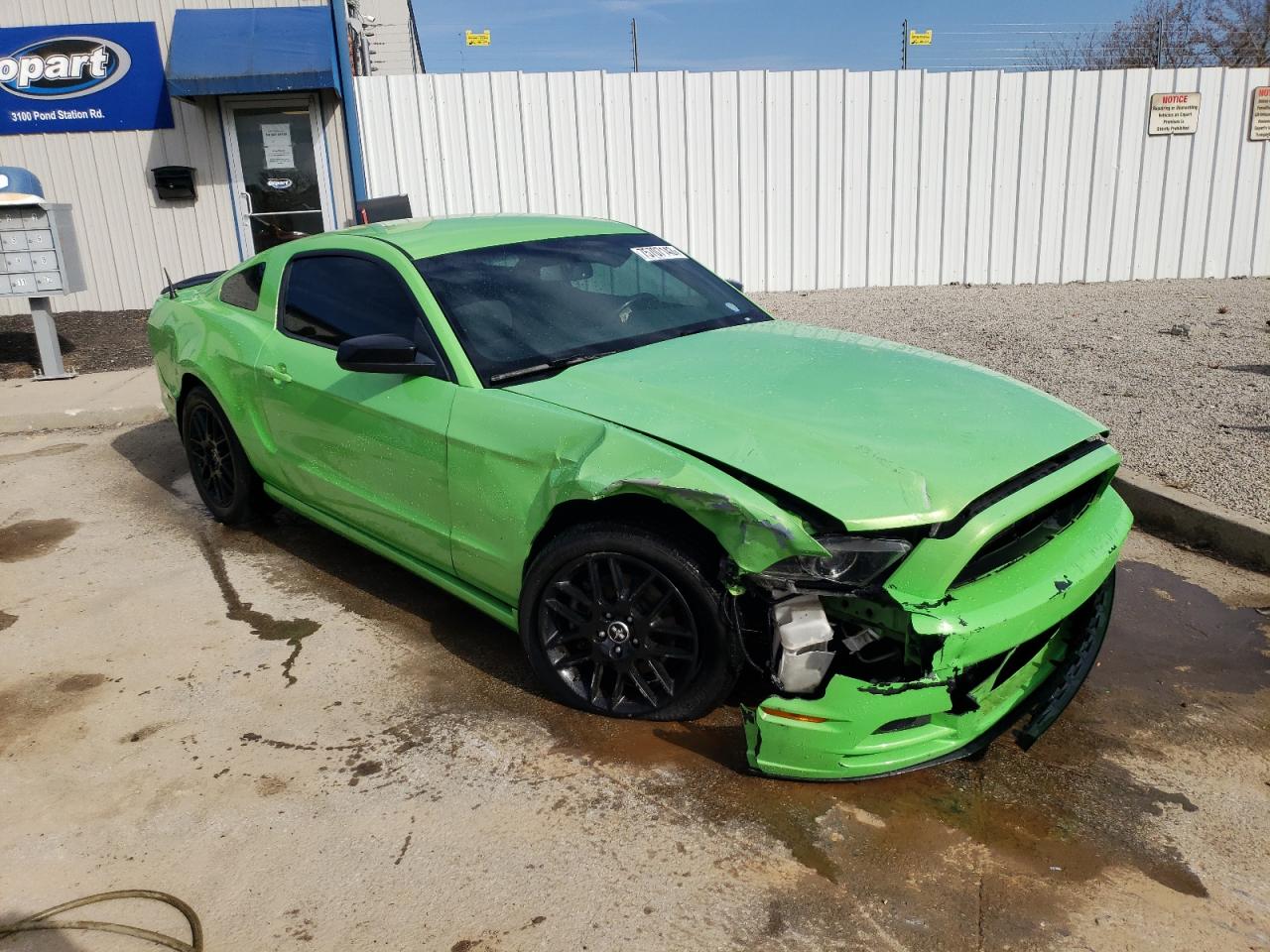 Photo 3 VIN: 1ZVBP8AM1E5262833 - FORD MUSTANG 