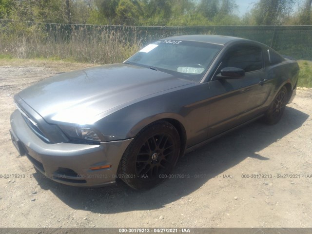 Photo 1 VIN: 1ZVBP8AM1E5269622 - FORD MUSTANG 