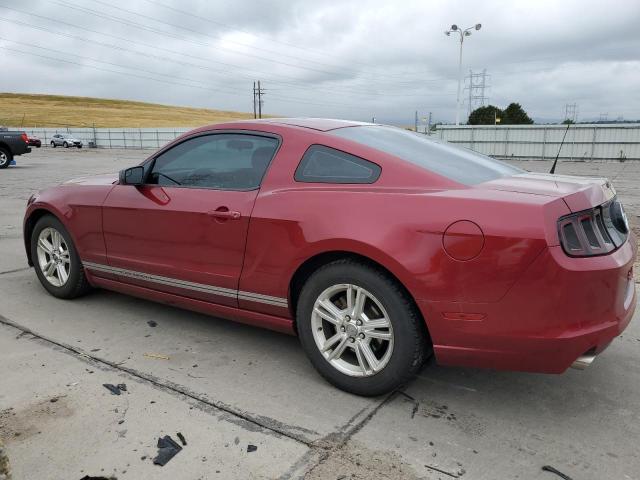 Photo 1 VIN: 1ZVBP8AM1E5275050 - FORD MUSTANG 