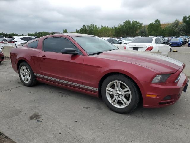 Photo 3 VIN: 1ZVBP8AM1E5275050 - FORD MUSTANG 