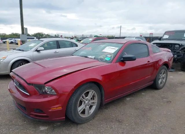 Photo 1 VIN: 1ZVBP8AM1E5275324 - FORD MUSTANG 