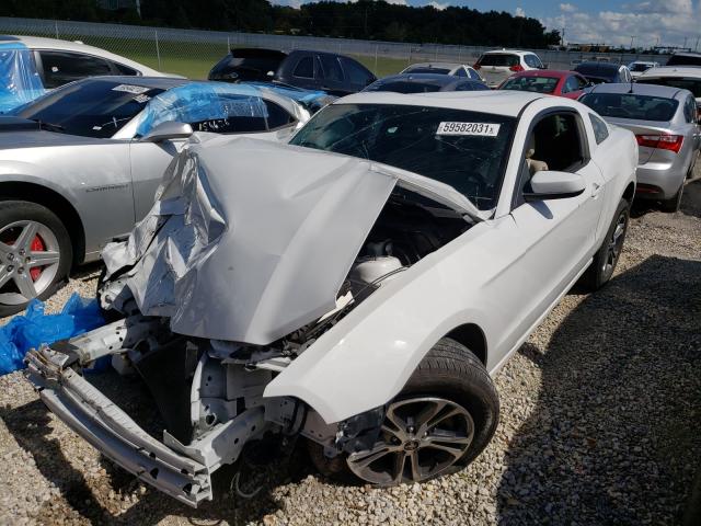 Photo 1 VIN: 1ZVBP8AM1E5278918 - FORD MUSTANG 