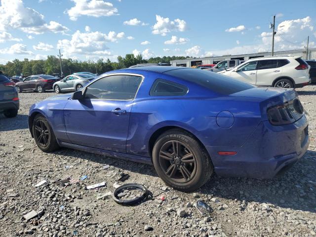 Photo 1 VIN: 1ZVBP8AM1E5301095 - FORD MUSTANG 