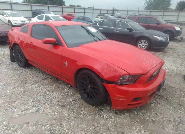 Photo 0 VIN: 1ZVBP8AM1E5308404 - FORD MUSTANG 