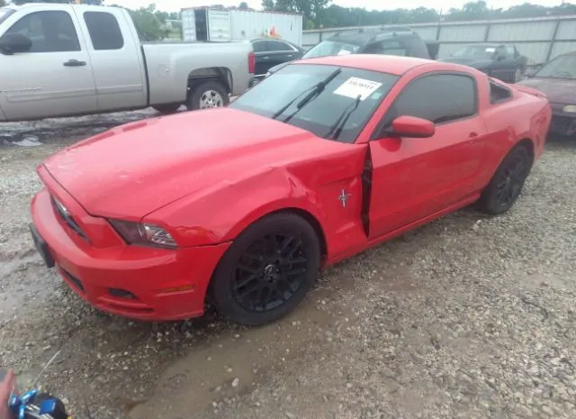 Photo 1 VIN: 1ZVBP8AM1E5308404 - FORD MUSTANG 