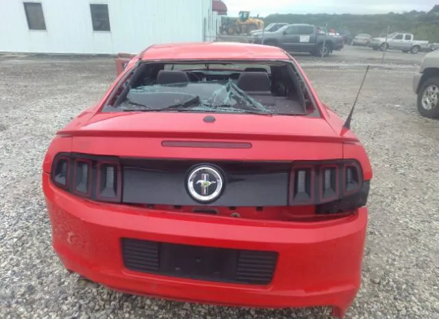 Photo 5 VIN: 1ZVBP8AM1E5308404 - FORD MUSTANG 