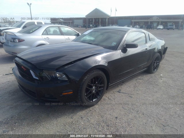 Photo 1 VIN: 1ZVBP8AM1E5318737 - FORD MUSTANG 