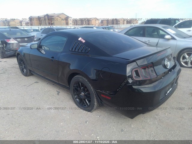 Photo 2 VIN: 1ZVBP8AM1E5318737 - FORD MUSTANG 