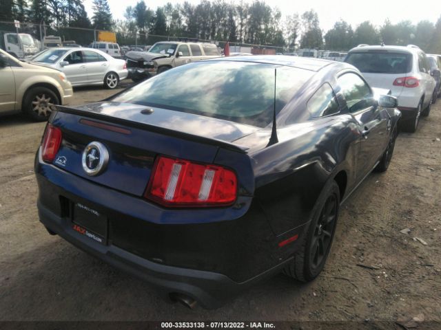 Photo 3 VIN: 1ZVBP8AM2B5103363 - FORD MUSTANG 