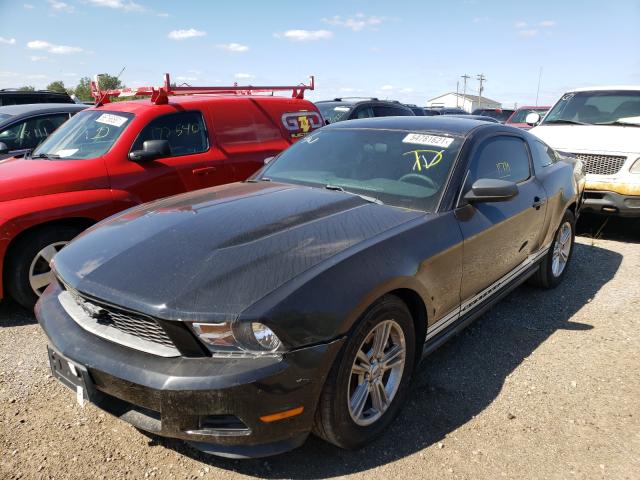 Photo 1 VIN: 1ZVBP8AM2B5125797 - FORD MUSTANG 