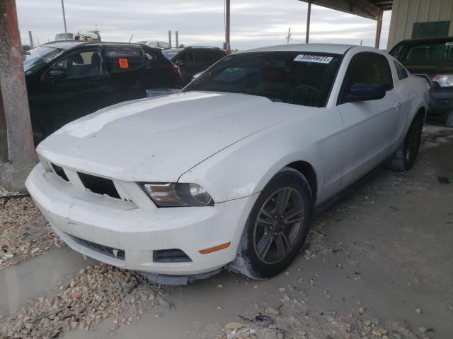 Photo 1 VIN: 1ZVBP8AM2B5149193 - FORD MUSTANG 