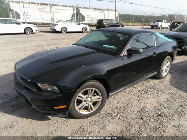 Photo 1 VIN: 1ZVBP8AM2B5150702 - FORD MUSTANG 