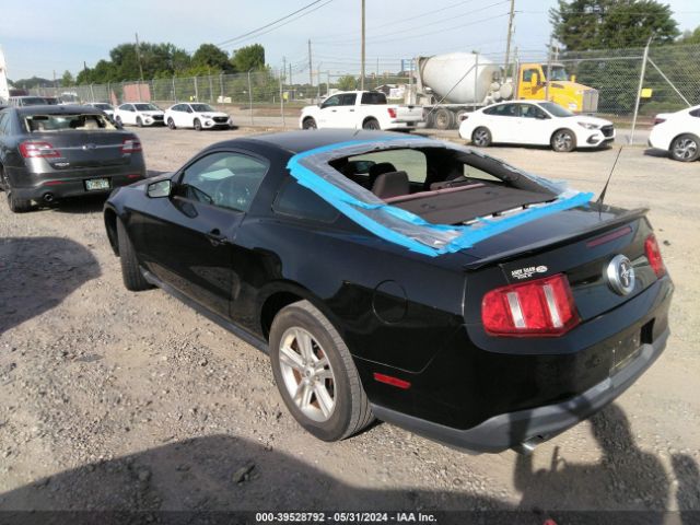 Photo 2 VIN: 1ZVBP8AM2B5150702 - FORD MUSTANG 