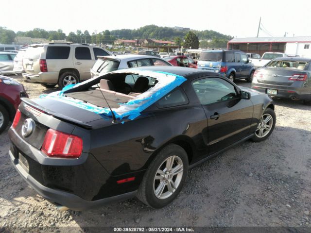 Photo 3 VIN: 1ZVBP8AM2B5150702 - FORD MUSTANG 