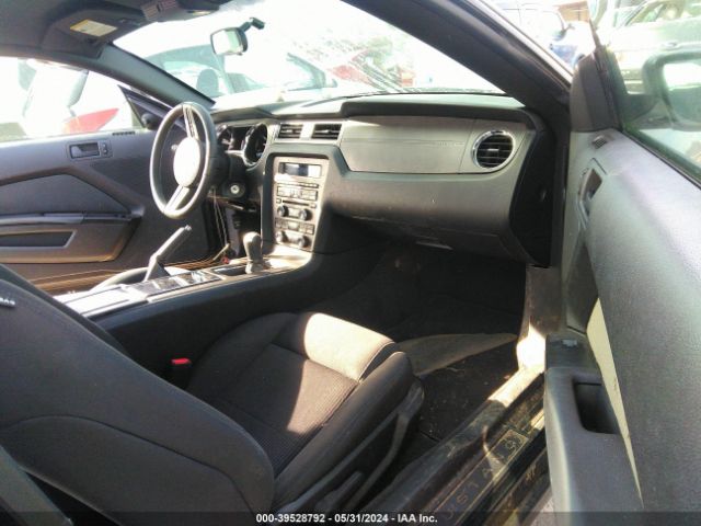 Photo 4 VIN: 1ZVBP8AM2B5150702 - FORD MUSTANG 