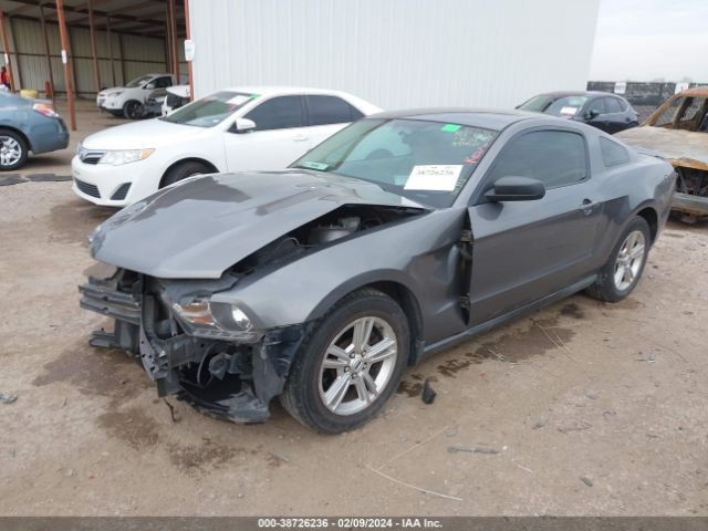 Photo 1 VIN: 1ZVBP8AM2B5161313 - FORD MUSTANG 