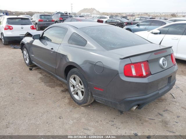 Photo 2 VIN: 1ZVBP8AM2B5161313 - FORD MUSTANG 