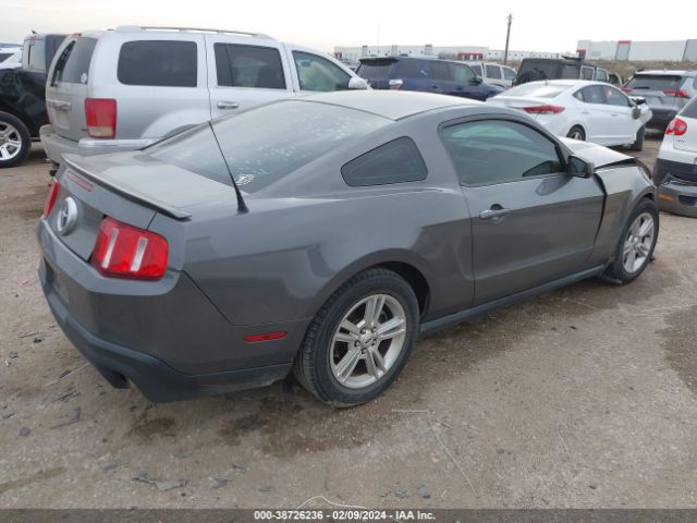 Photo 3 VIN: 1ZVBP8AM2B5161313 - FORD MUSTANG 