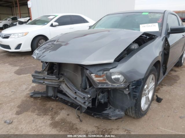 Photo 5 VIN: 1ZVBP8AM2B5161313 - FORD MUSTANG 