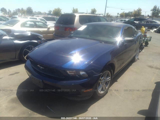 Photo 1 VIN: 1ZVBP8AM2B5169492 - FORD MUSTANG 