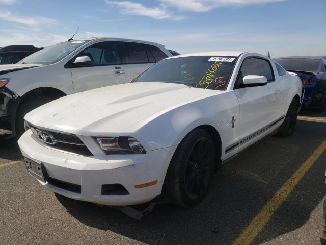 Photo 1 VIN: 1ZVBP8AM2C5235461 - FORD MUSTANG 