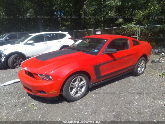 Photo 1 VIN: 1ZVBP8AM2C5246203 - FORD MUSTANG 