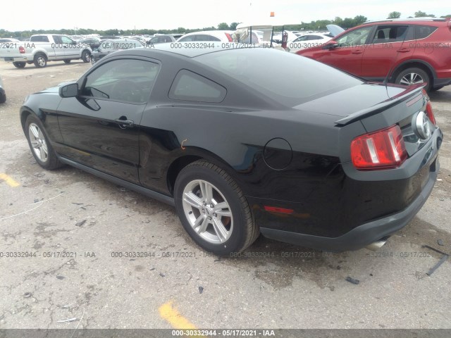 Photo 2 VIN: 1ZVBP8AM2C5264913 - FORD MUSTANG 