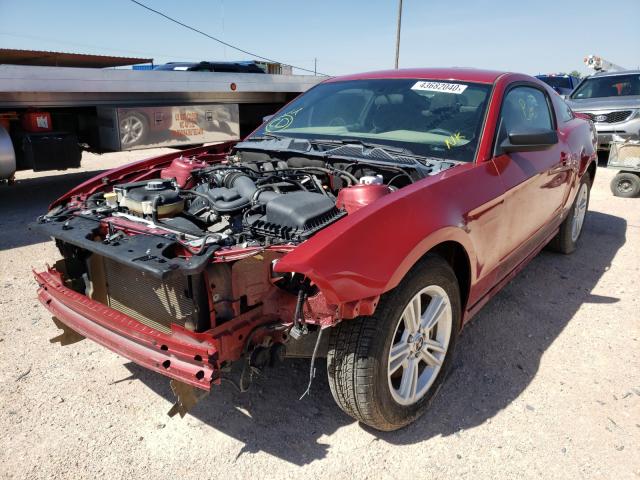 Photo 1 VIN: 1ZVBP8AM2D5241309 - FORD MUSTANG 