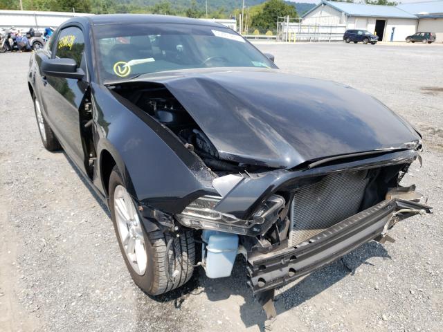 Photo 8 VIN: 1ZVBP8AM2D5247417 - FORD MUSTANG 