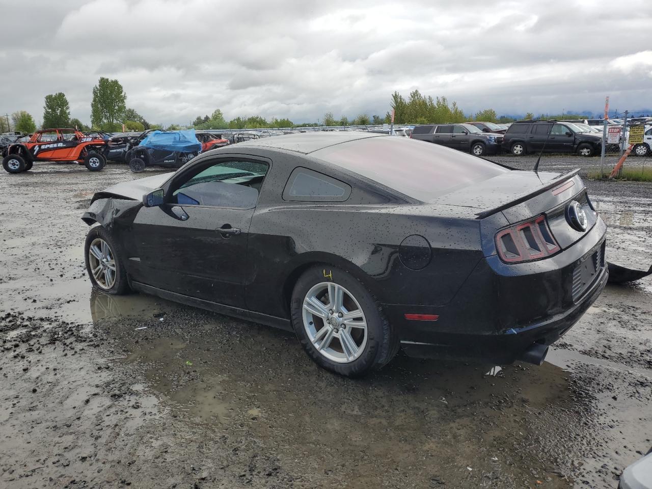 Photo 1 VIN: 1ZVBP8AM2D5248163 - FORD MUSTANG 