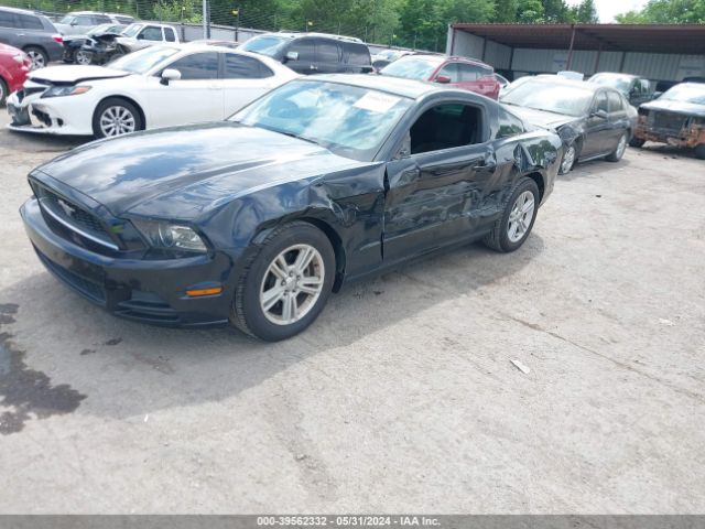 Photo 1 VIN: 1ZVBP8AM2D5251385 - FORD MUSTANG 