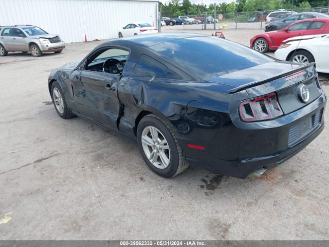 Photo 2 VIN: 1ZVBP8AM2D5251385 - FORD MUSTANG 