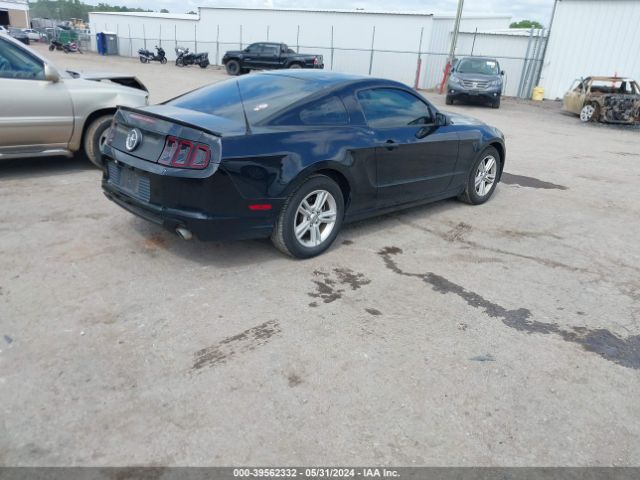 Photo 3 VIN: 1ZVBP8AM2D5251385 - FORD MUSTANG 