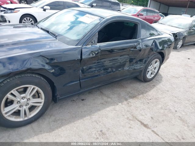 Photo 5 VIN: 1ZVBP8AM2D5251385 - FORD MUSTANG 