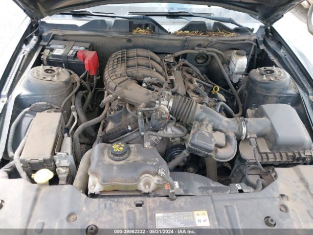 Photo 9 VIN: 1ZVBP8AM2D5251385 - FORD MUSTANG 