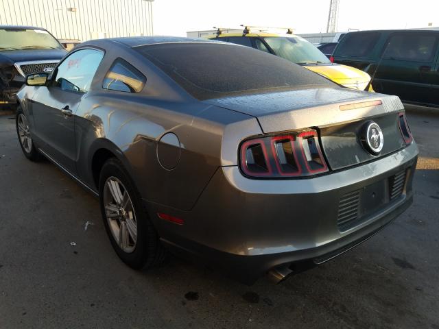 Photo 2 VIN: 1ZVBP8AM2D5255307 - FORD MUSTANG 